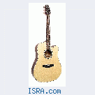 Gitara