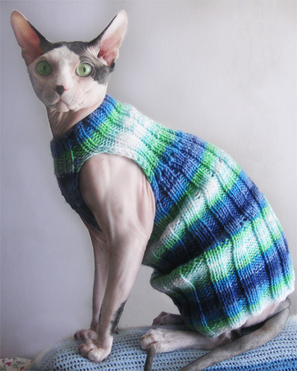 Вязаная одежда для кошек сфинксов - 63 фото