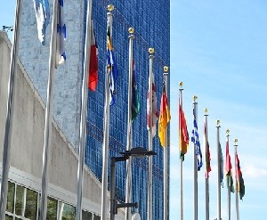Данон возвращается в ООН 