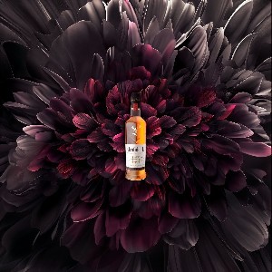 Погружение в мир Glenfiddich: запуск уникального проекта HOUSE OF SENSES в Израиле