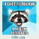 Полоскун